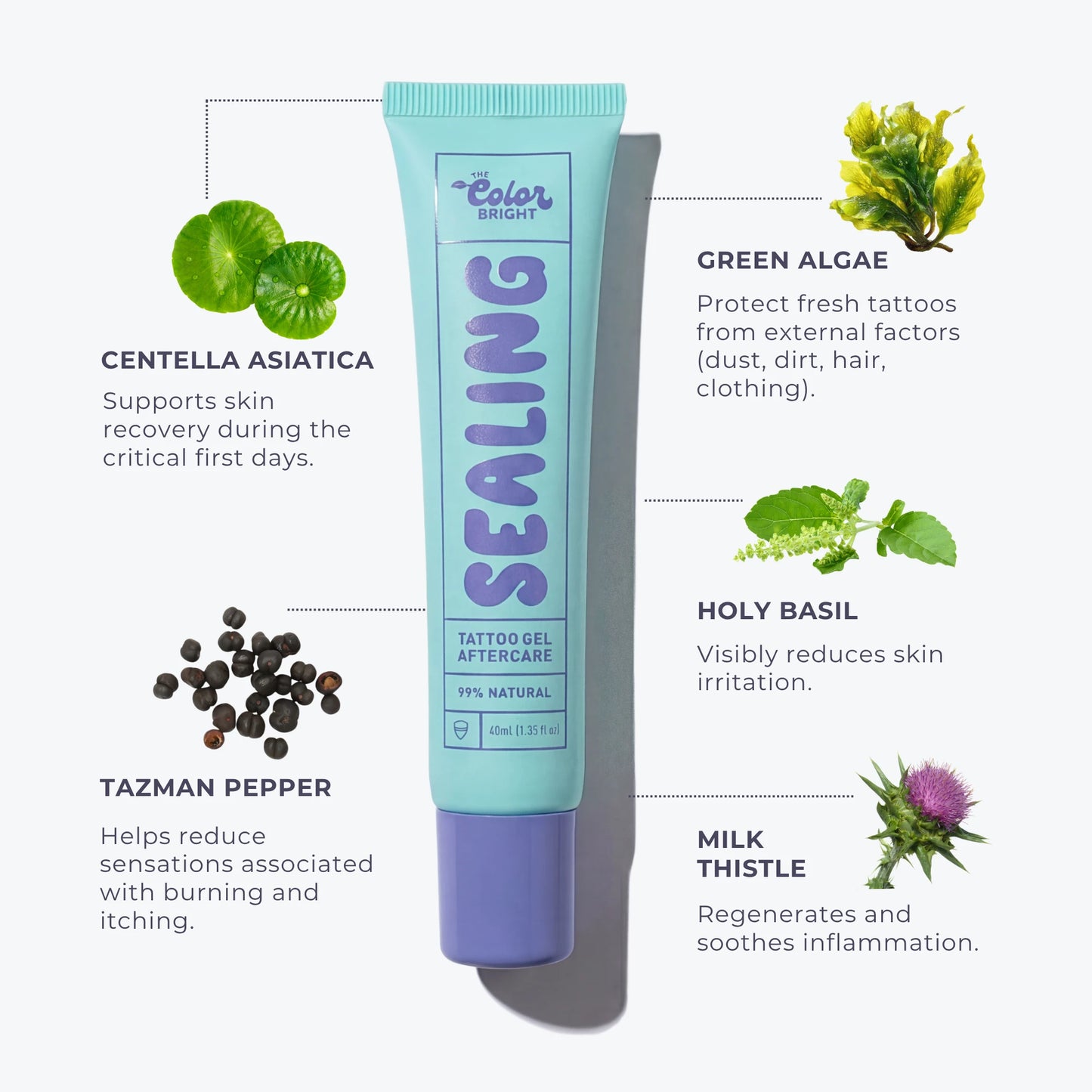 Aftercare Discovery Kit