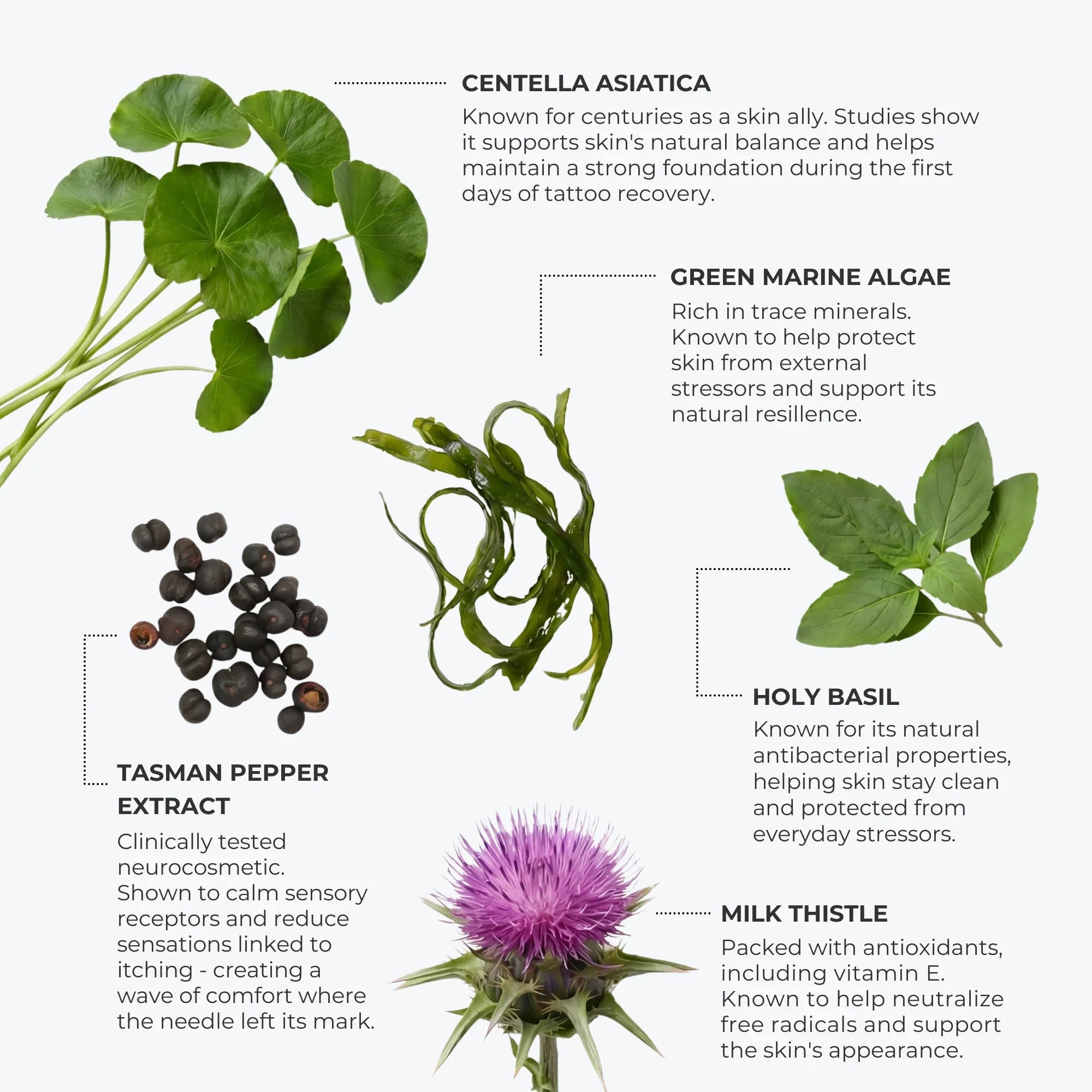 SEALING tattoo aftercare gel